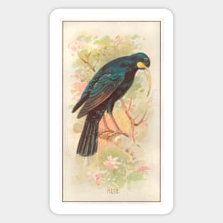 Huia Sticker